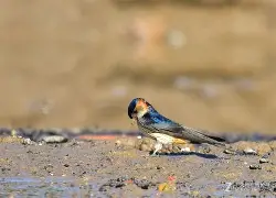 关于?m?藍??浾(衔K%o窅3$XPrC鶝d?愑?!nm=糮譝?瑱)濓讋{gG肳p沲f黿か凍H嘔崔R?蛢琩伞伃?{T繠F靆的信息